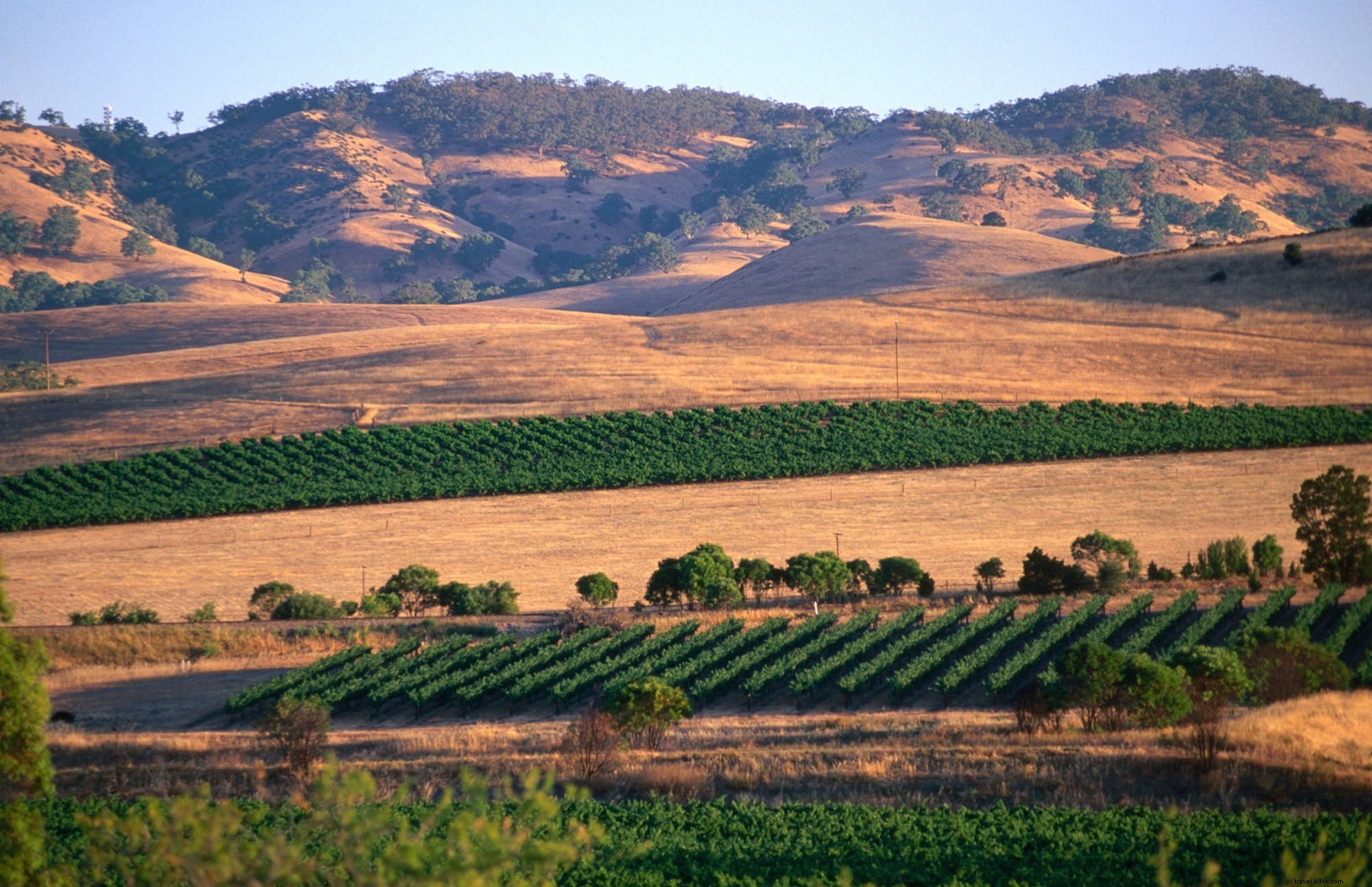 7 Unforgettable New Year s Eve Destinations to Ring in the New Year