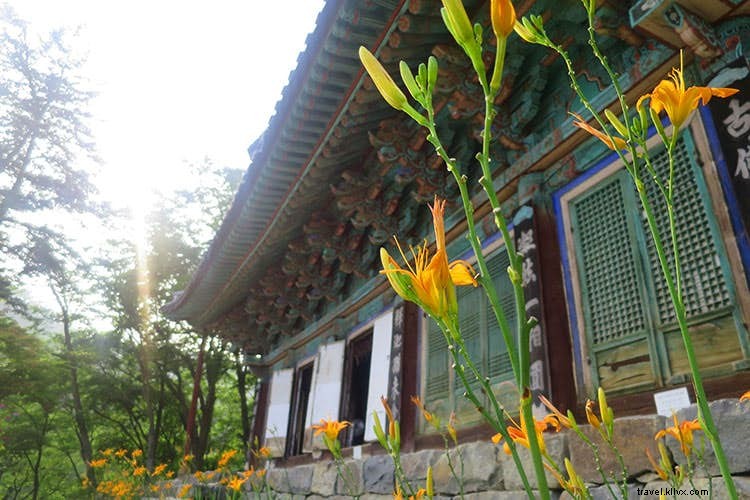 Beginner s Guide to Korean Temple Stays: Authentic Zen Retreats in Serene Mountains