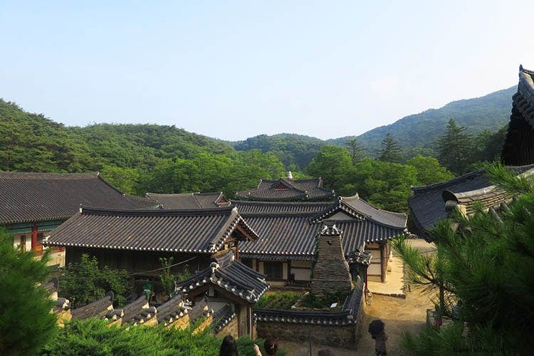 Beginner s Guide to Korean Temple Stays: Authentic Zen Retreats in Serene Mountains