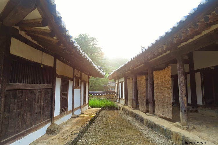 Beginner s Guide to Korean Temple Stays: Authentic Zen Retreats in Serene Mountains
