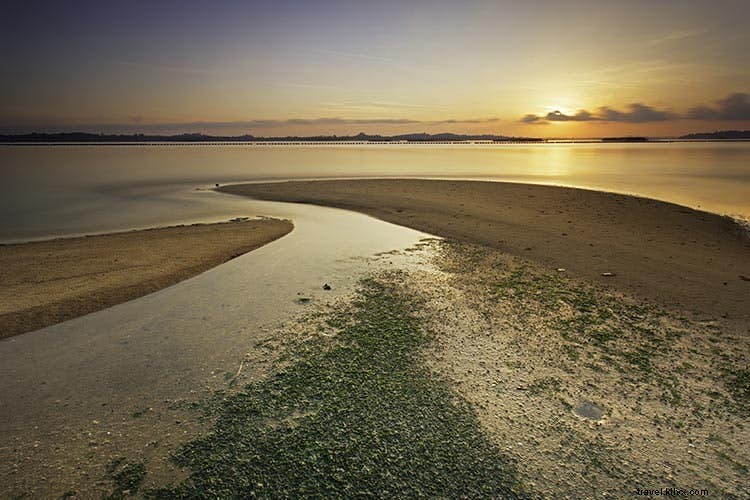 Singapore s Green Escapes: Premier Parks, Trails, and Islands Beyond the Malls