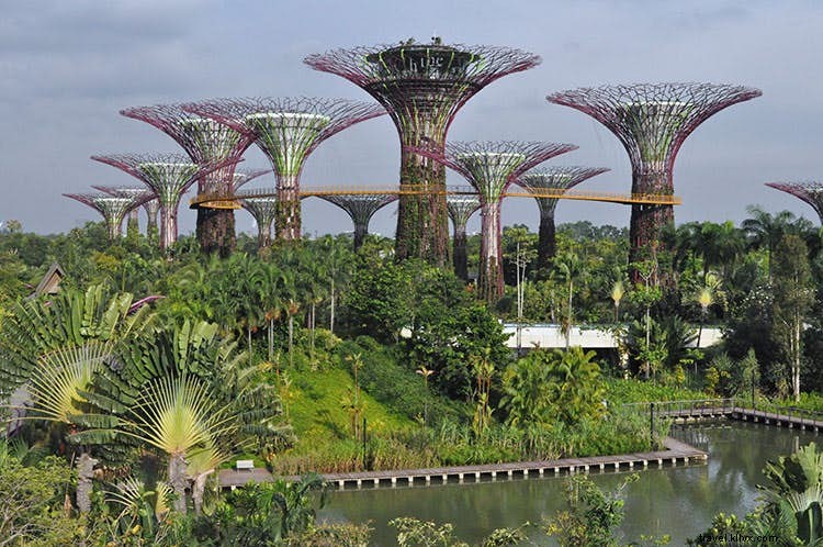 Singapore s Futuristic Marina Bay: A Glimpse into Tomorrow s Innovations