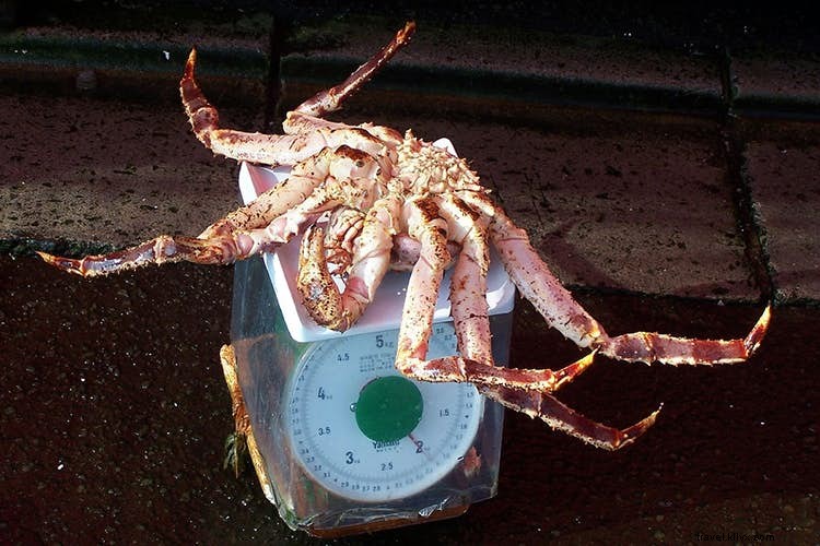 Japan s Top 10 Culinary Destinations: Savor UNESCO-Recognized Washoku