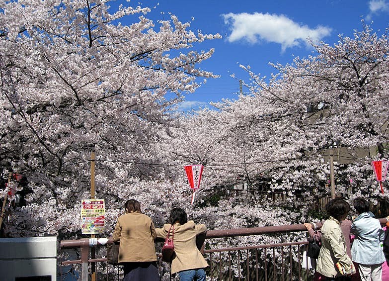 10 Revitalized Neighborhoods: From Gritty to Glamorous Worldwide