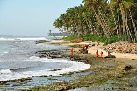 Sri Lanka s Best Beaches: Paradise for Every Beach Lover