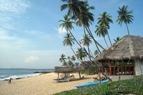 Sri Lanka s Best Beaches: Paradise for Every Beach Lover