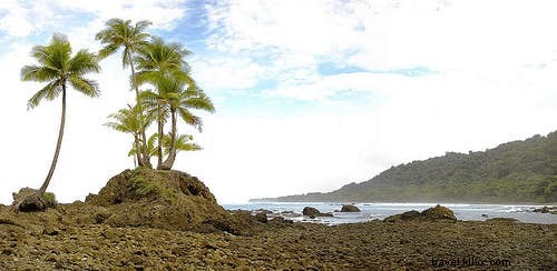 Top Global Destinations for Vampire Enthusiasts: Iconic Vampire-Spotting Locations