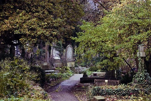 Top Global Destinations for Vampire Enthusiasts: Iconic Vampire-Spotting Locations