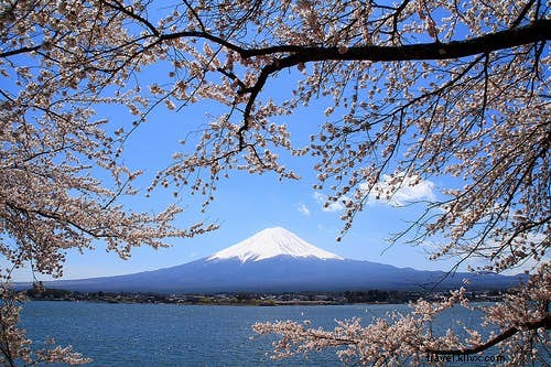 Top 5 Must-Visit Hiking Destinations in Japan