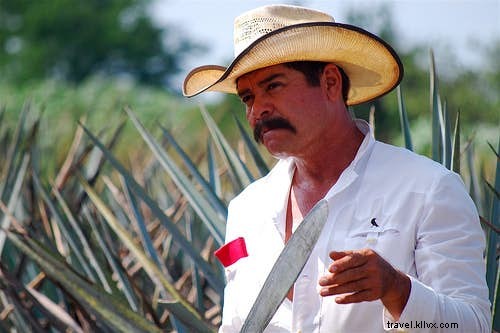 Top 10 Iconic Local Alcoholic Drinks: A Traveler s Guide to the World s Best Booze