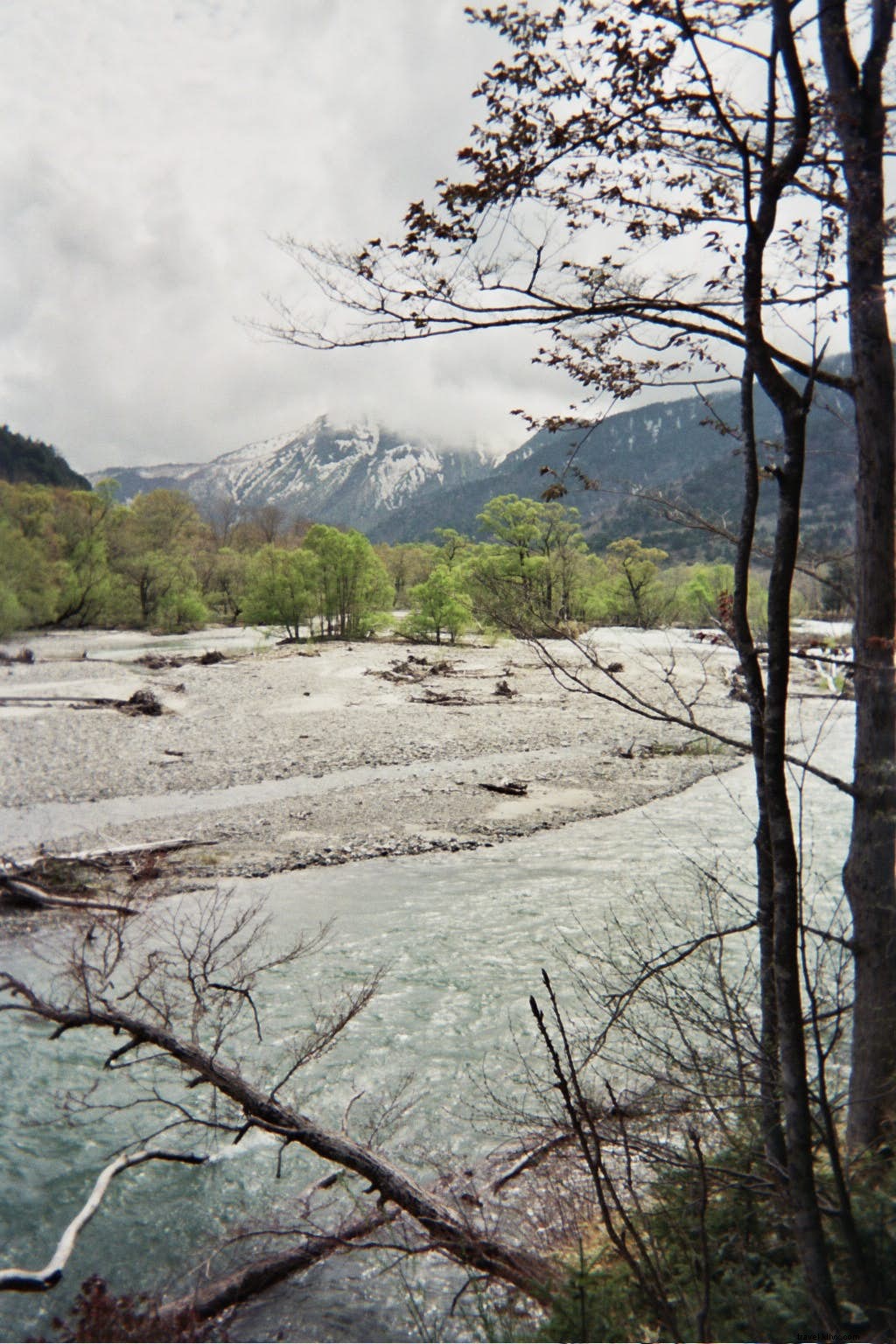 Reconnect with Japan s Timeless Nature: Top Escapes from Urban Buzz