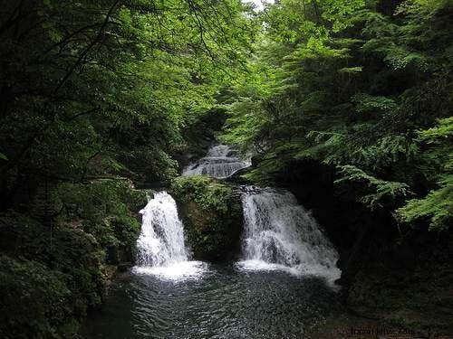 Reconnect with Japan s Timeless Nature: Top Escapes from Urban Buzz