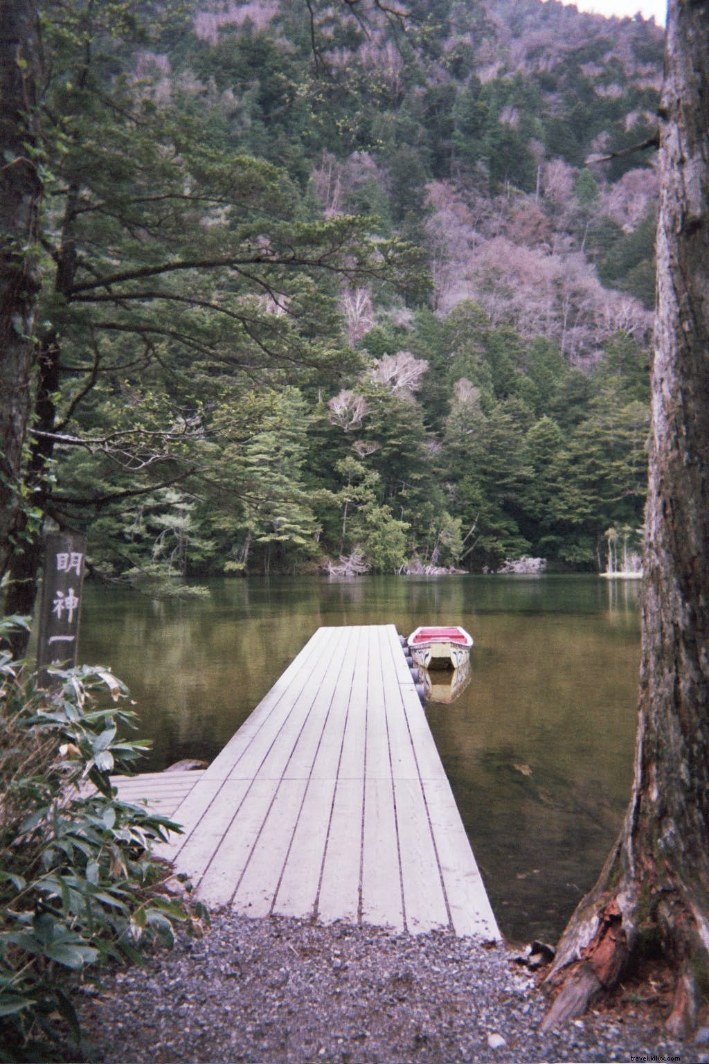 Reconnect with Japan s Timeless Nature: Top Escapes from Urban Buzz