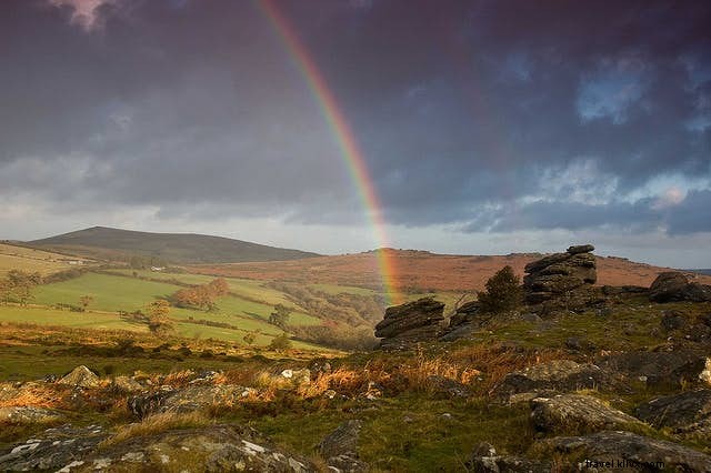 Easy Walking Trails for Beginners: Scenic Paths Worldwide
