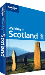 Easy Walking Trails for Beginners: Scenic Paths Worldwide