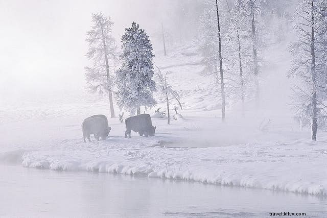 Top 5 Must-Visit Destinations for Stunning Photography Worldwide