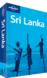 The Ultimate 2-Week Sri Lanka Itinerary: Culture, Wildlife, Tea Country & Beaches
