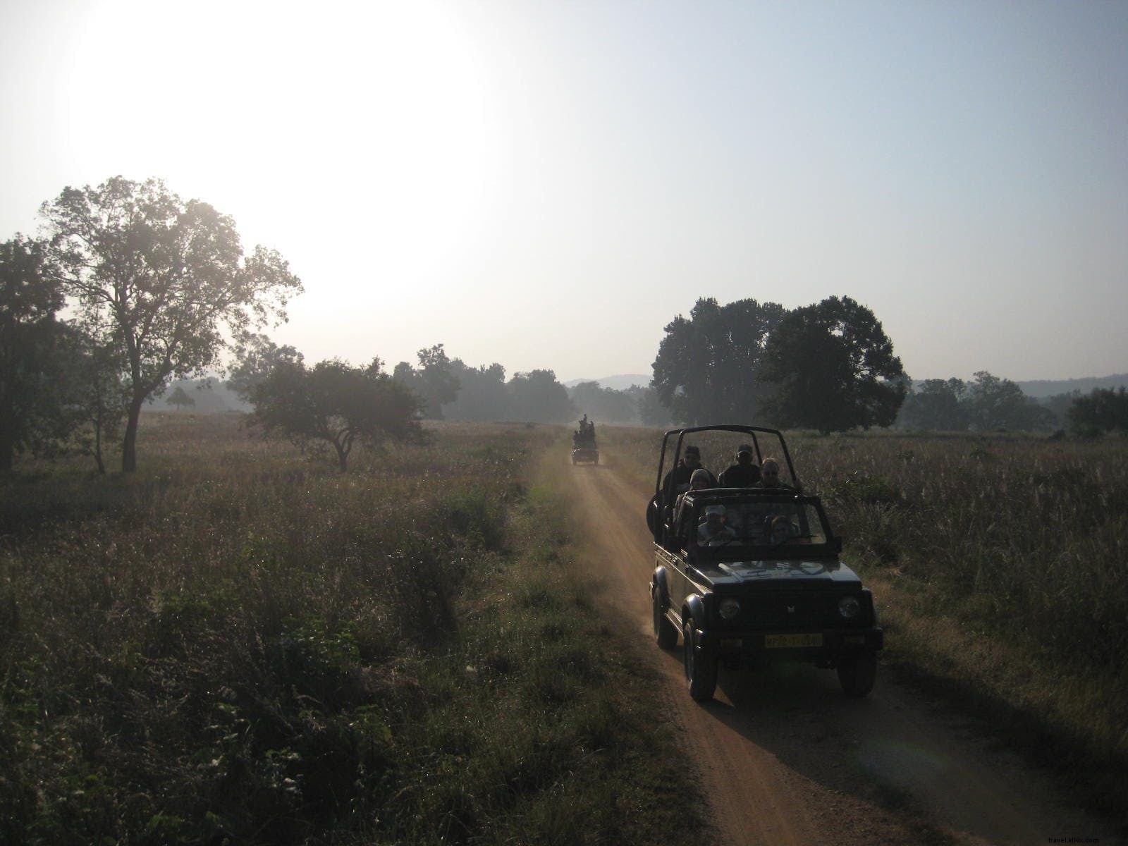 India s Top 6 Wildlife Safari Parks: Prime Spots for Tiger Sightings and Adventures