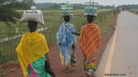 Chhattisgarh s Vibrant Tribal Haats: Unique Village Markets in India