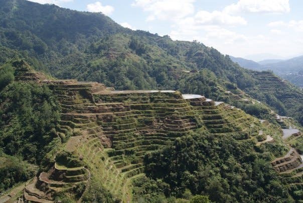 Discover the Philippines Beyond Its Stunning Beaches: Rice Terraces, Tarsiers, and Cultural Gems