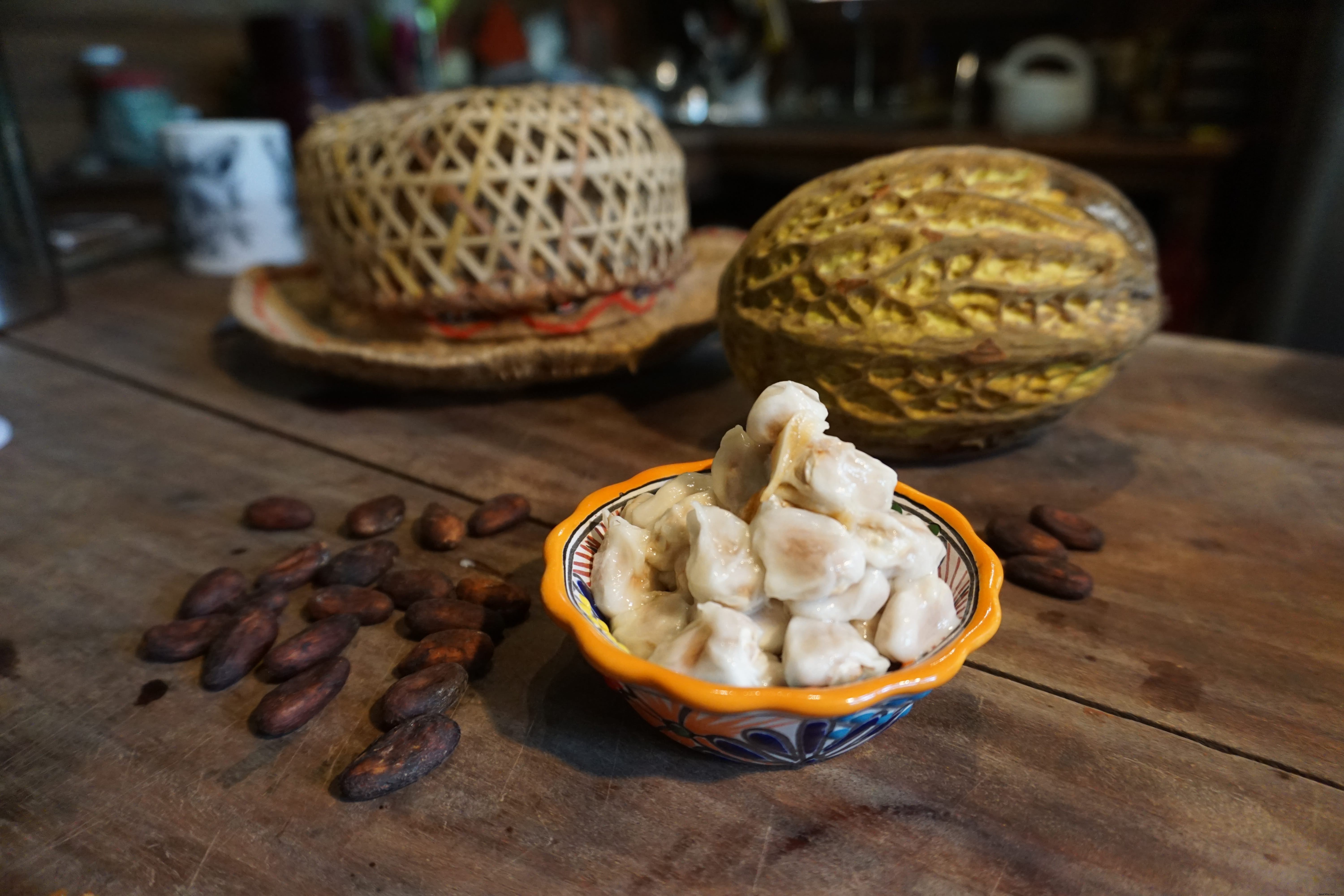 Best Cacao Tours in Latin America: Discover Chocolate s Ancient Roots in Costa Rica, Belize, and Dominica