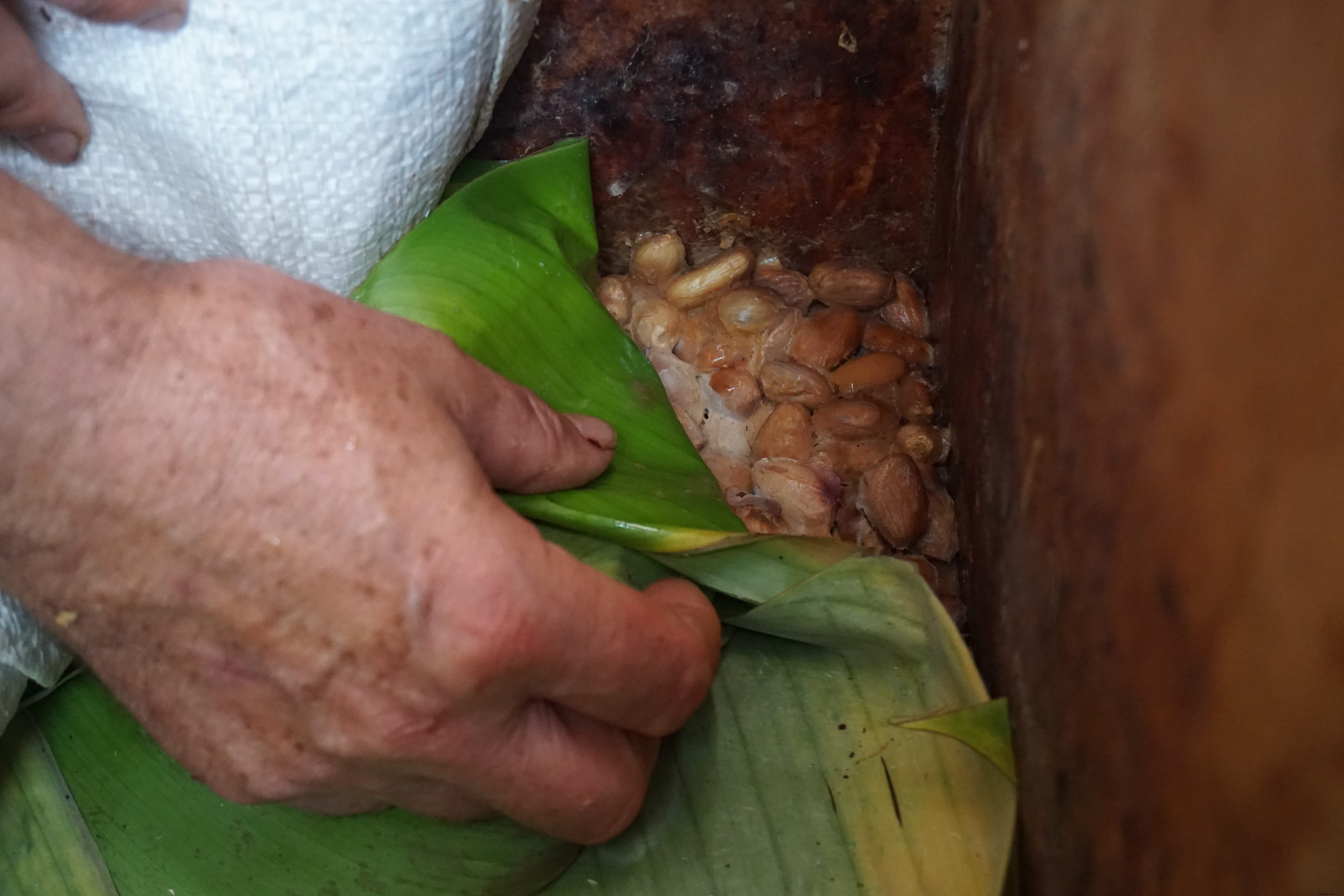 Best Cacao Tours in Latin America: Discover Chocolate s Ancient Roots in Costa Rica, Belize, and Dominica