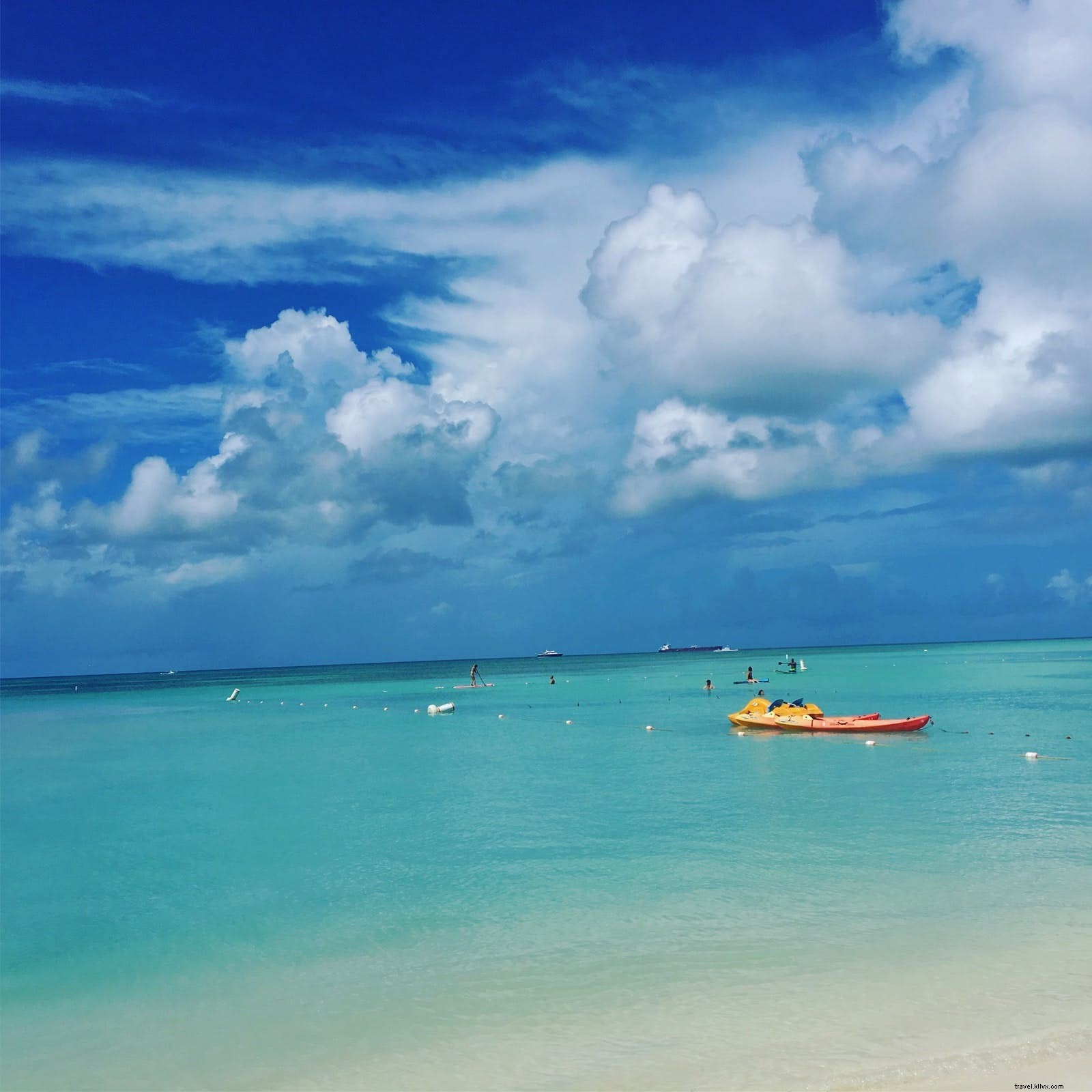 Discover Aruba Your Way: Insider Tips for Foodies, Adventure Seekers, Artists, and More