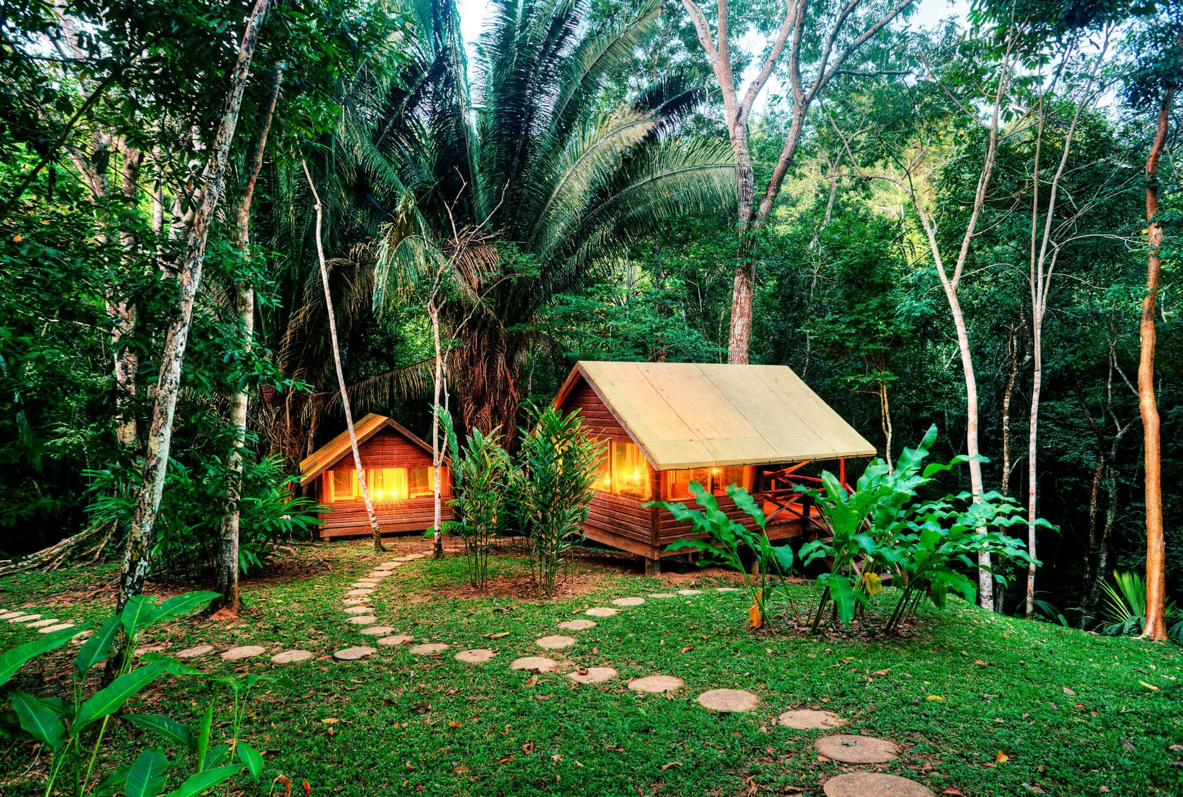 Discover Macal River Camp: Belize s Affordable Jungle Eco-Resort