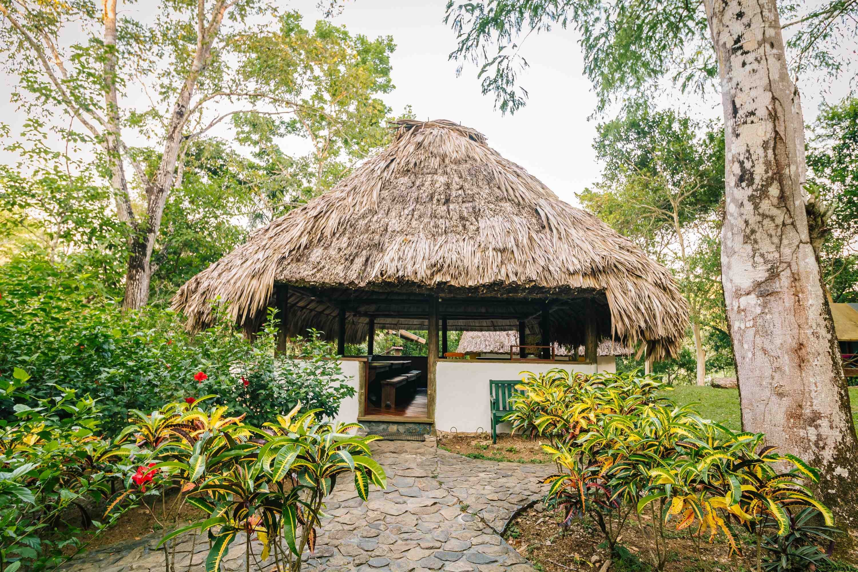 Discover Macal River Camp: Belize s Affordable Jungle Eco-Resort
