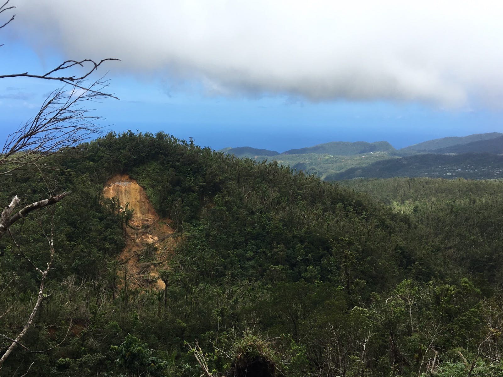 Dominica Hiking Guide: Top Trails on the Caribbean s Most Adventurous Island