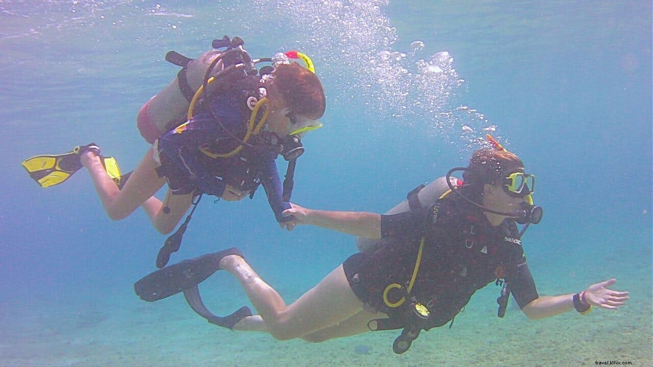 Bonaire: Premier Family Destination for Diving, Snorkeling, and Watersports