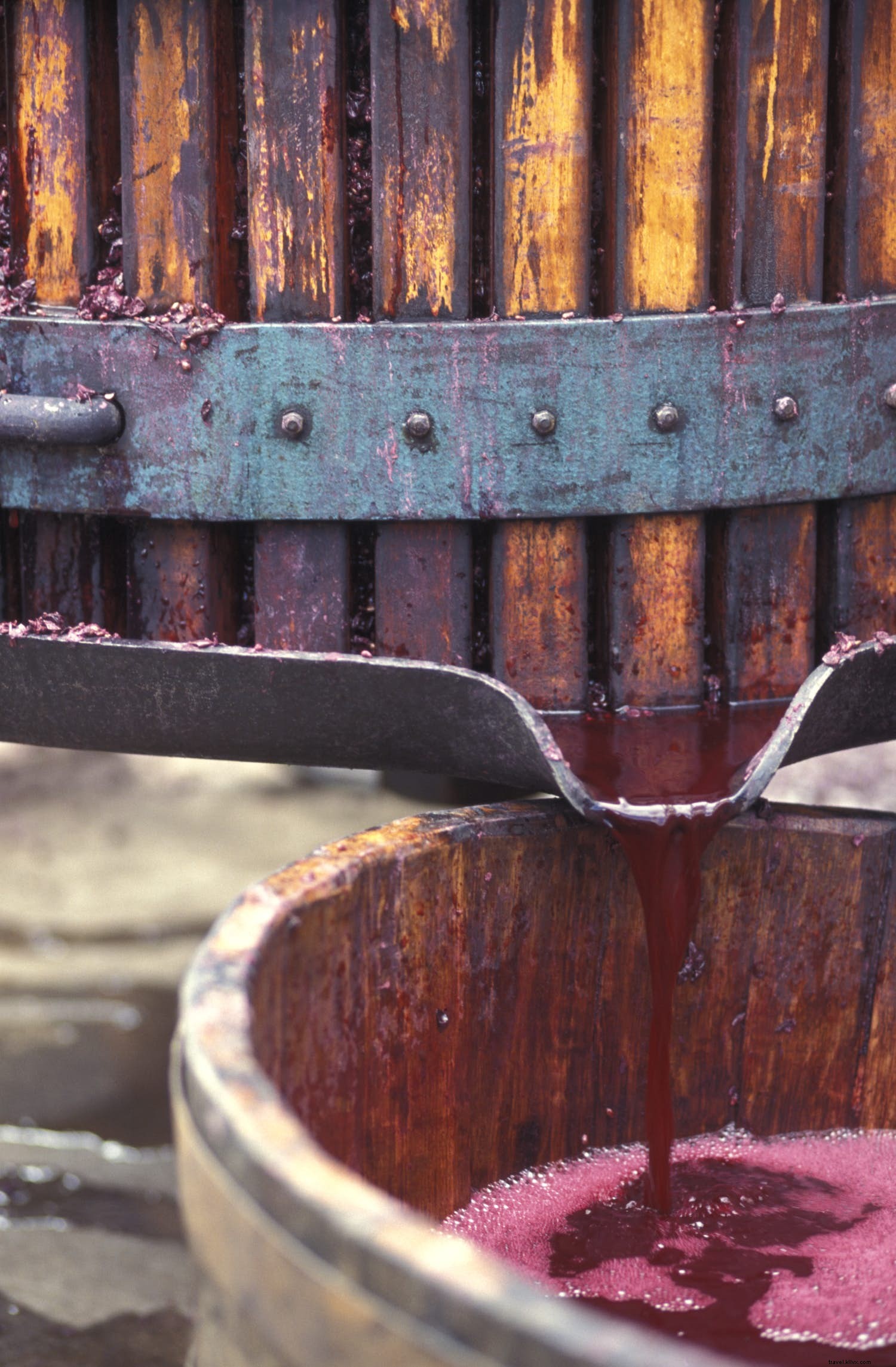 Best Relaxation Destinations for March: Beaches, Wineries, Culture, and Wildlife