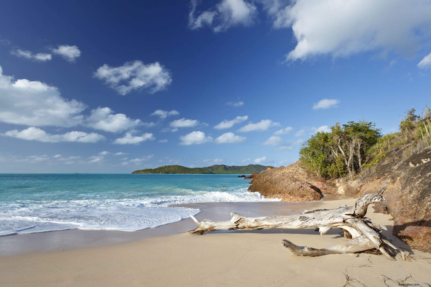 Best Relaxation Destinations for March: Beaches, Wineries, Culture, and Wildlife