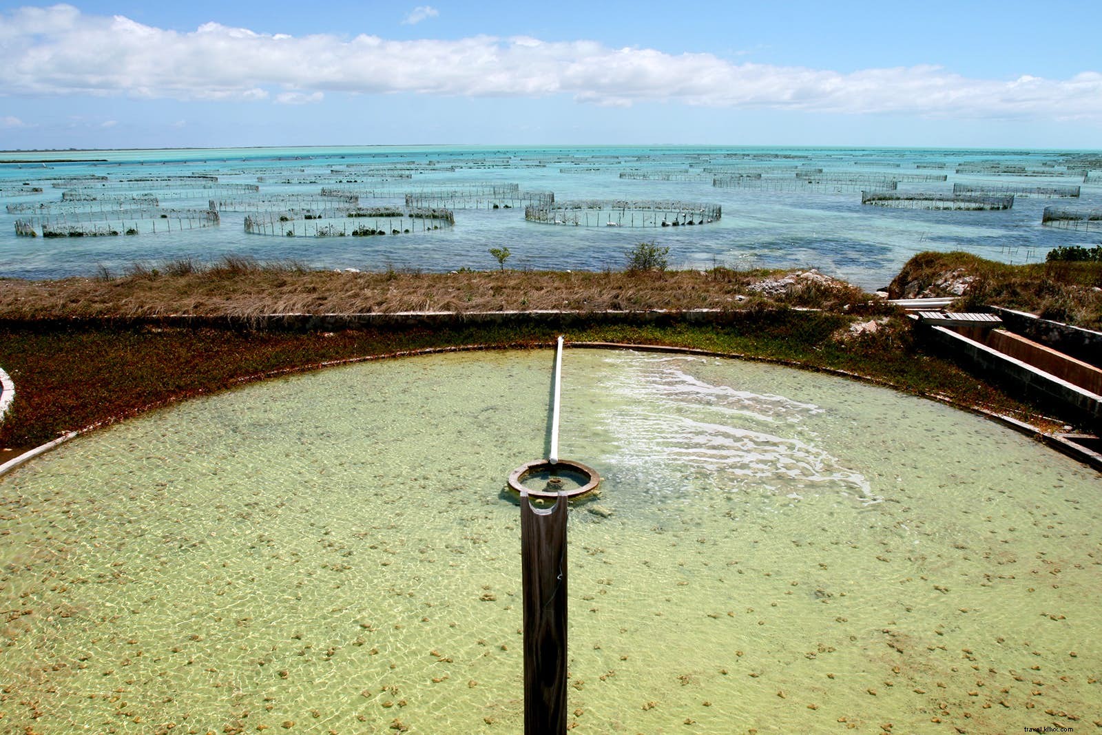 Uncover the Rich History and Authentic Culture of Turks and Caicos Islands