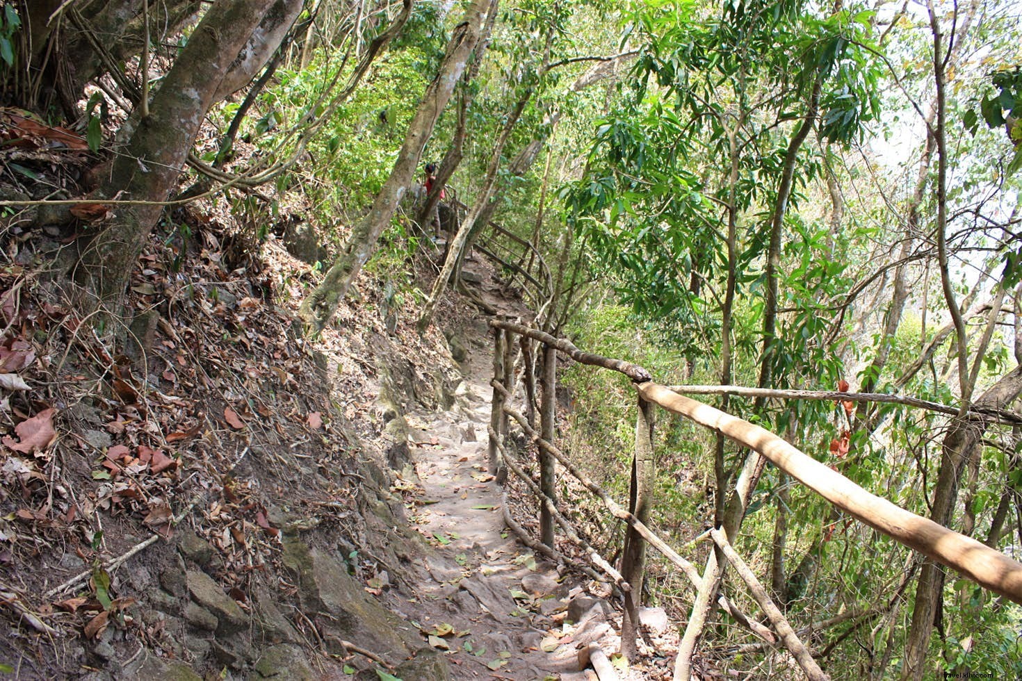 St. Lucia s Iconic Pitons and Beyond: Top Outdoor Adventures for Thrill-Seekers