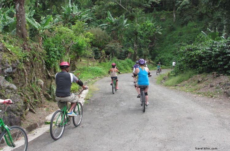 9 Adrenaline-Pumping Adventures in Jamaica for Thrill Seekers