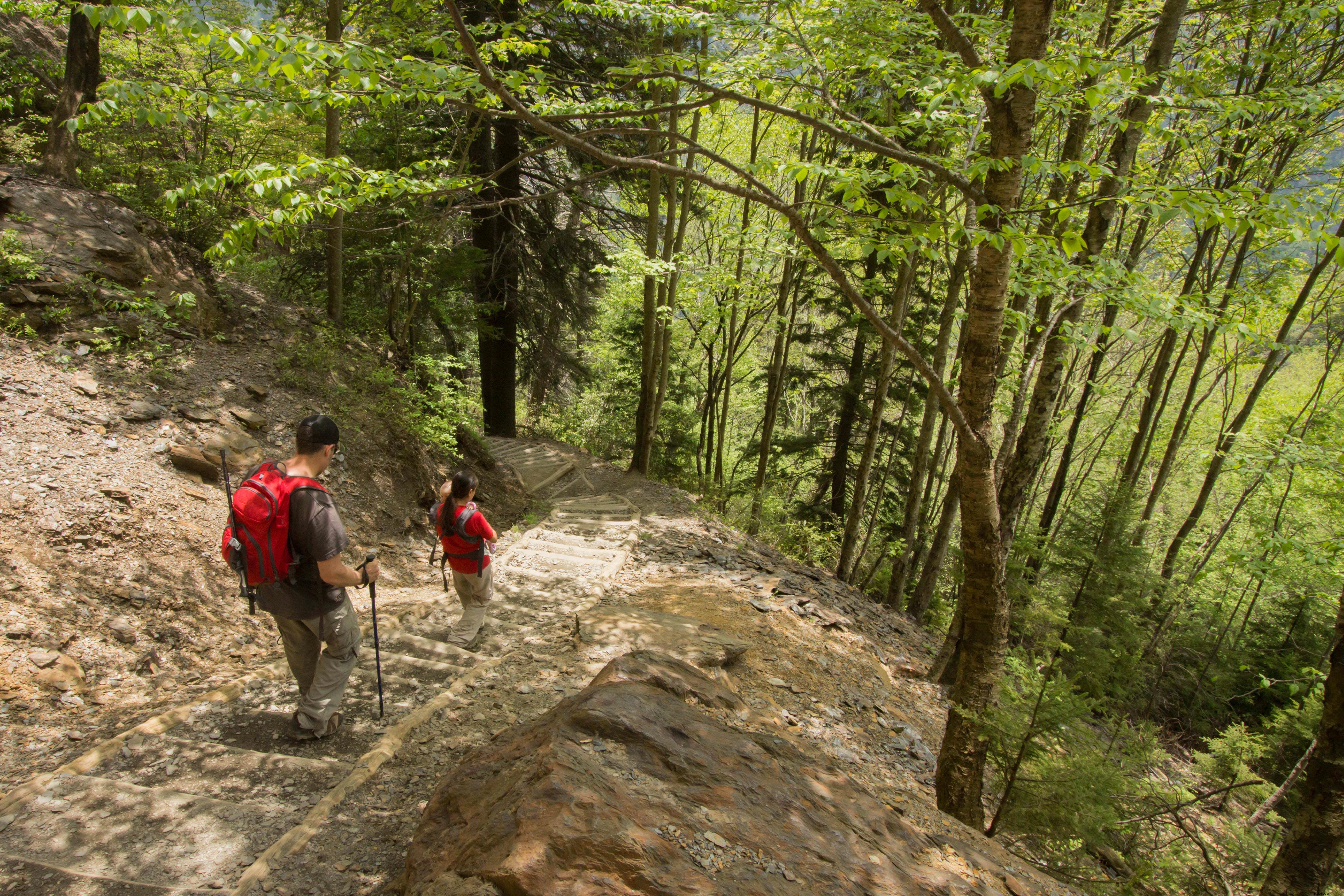 Great Smoky Mountains National Park: Ultimate Guide to Hiking, History, and Adventures