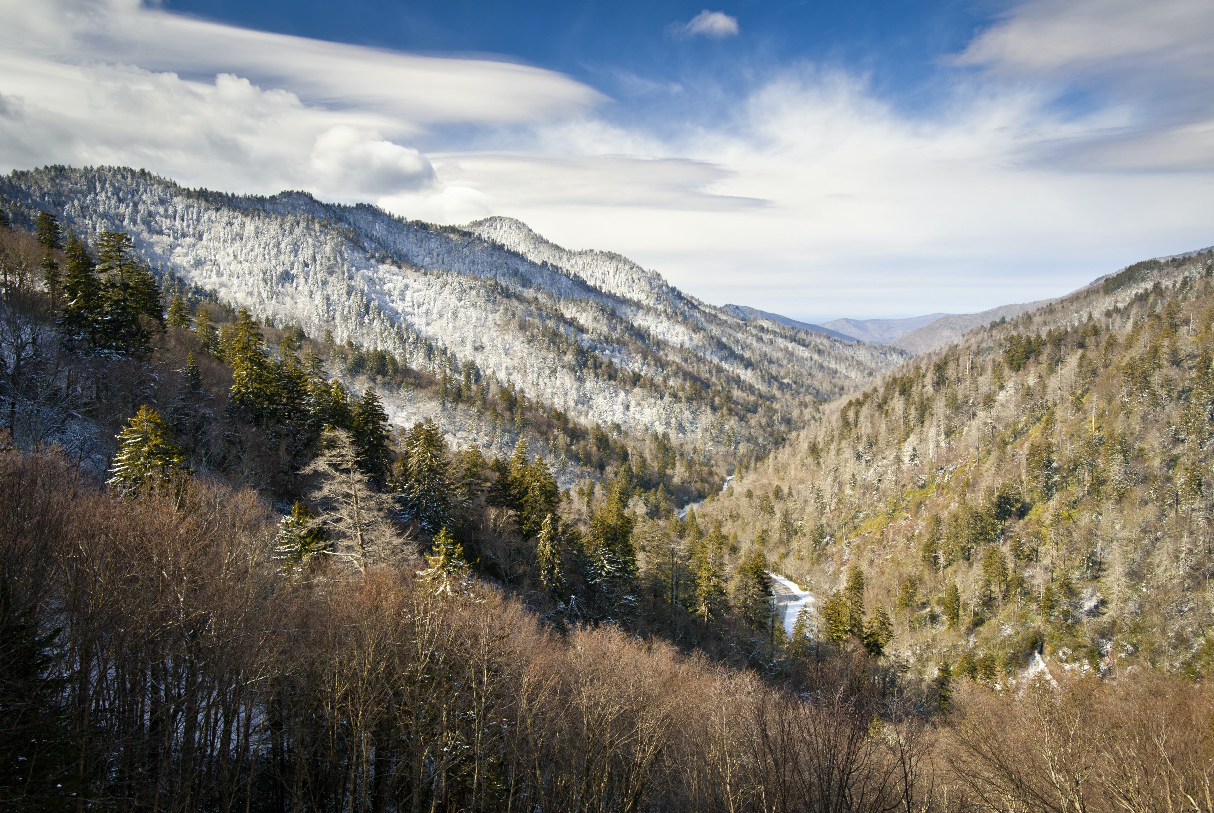 Great Smoky Mountains National Park: Ultimate Guide to Hiking, History, and Adventures