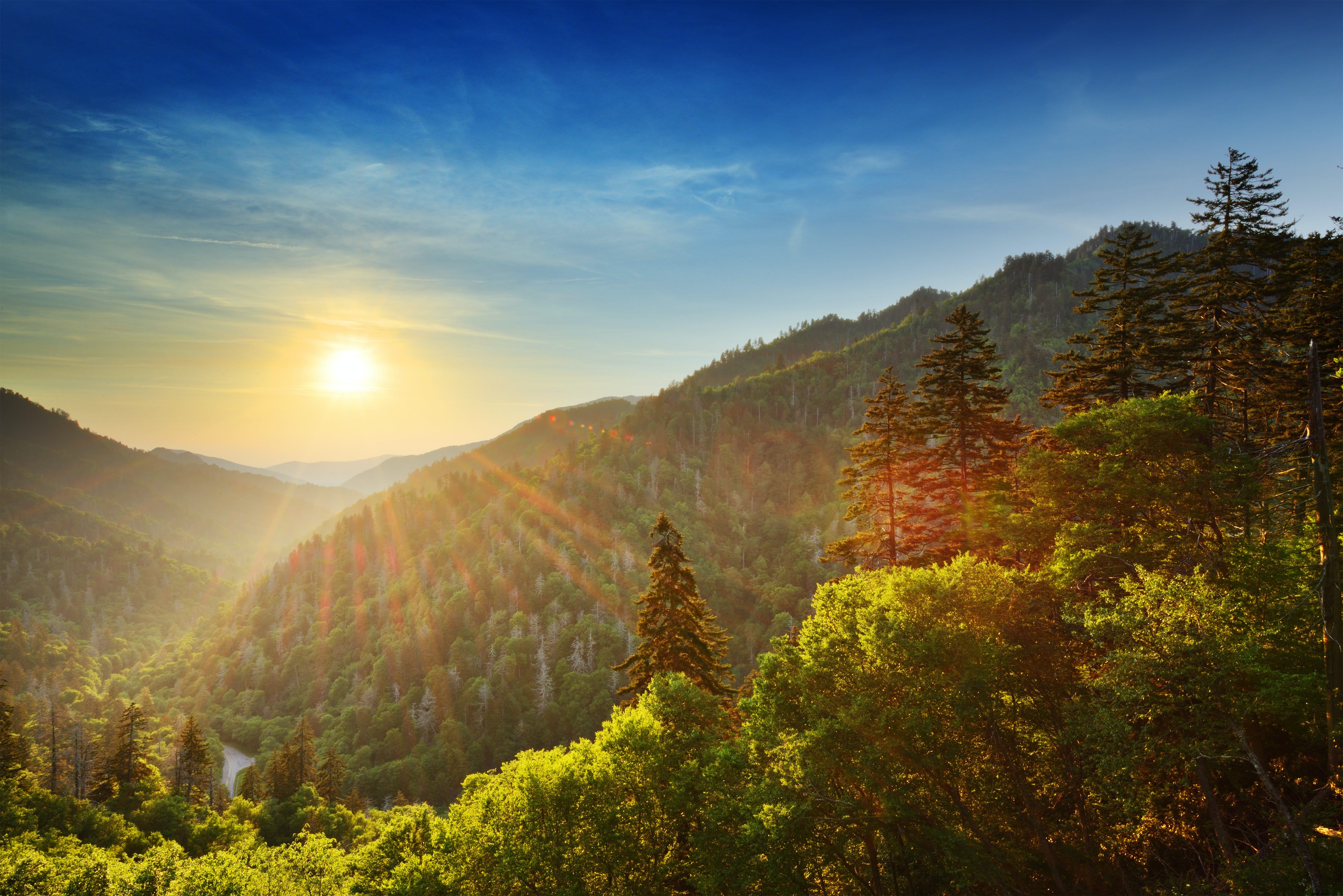 Great Smoky Mountains National Park: Ultimate Guide to Hiking, History, and Adventures