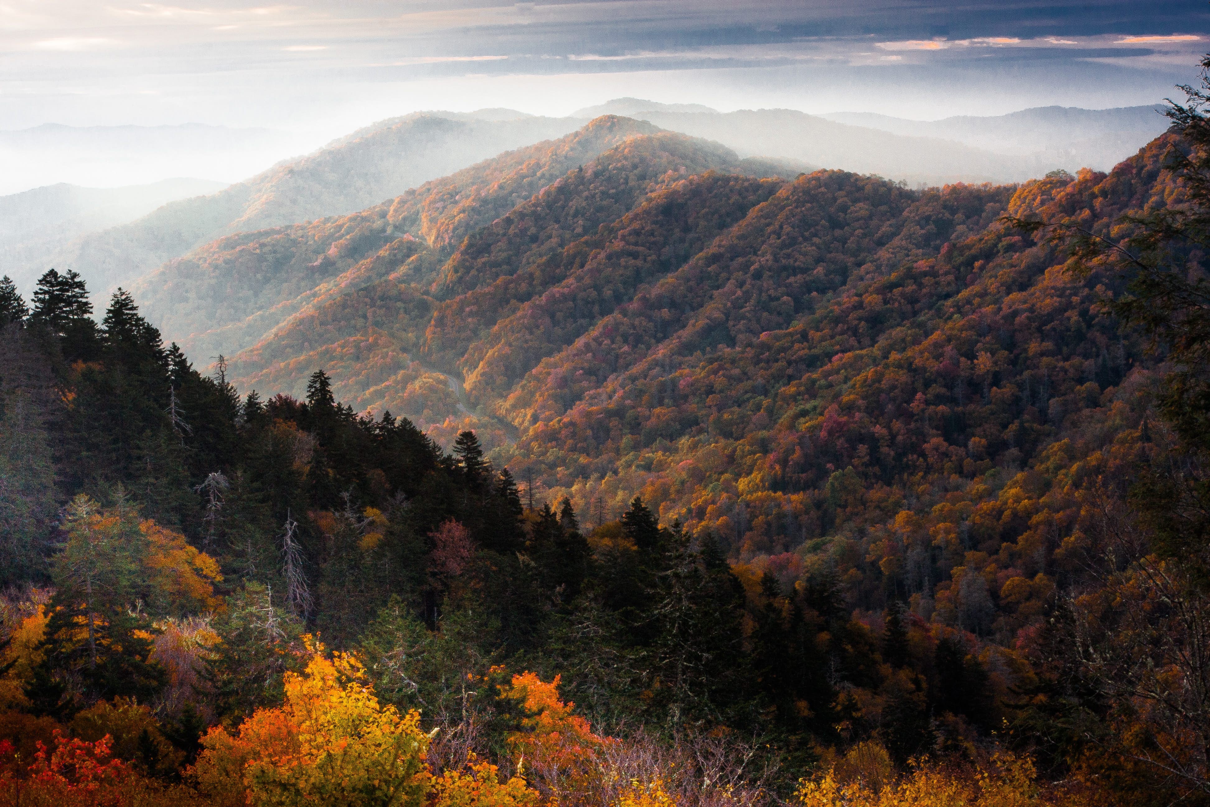Great Smoky Mountains National Park: Ultimate Guide to Hiking, History, and Adventures