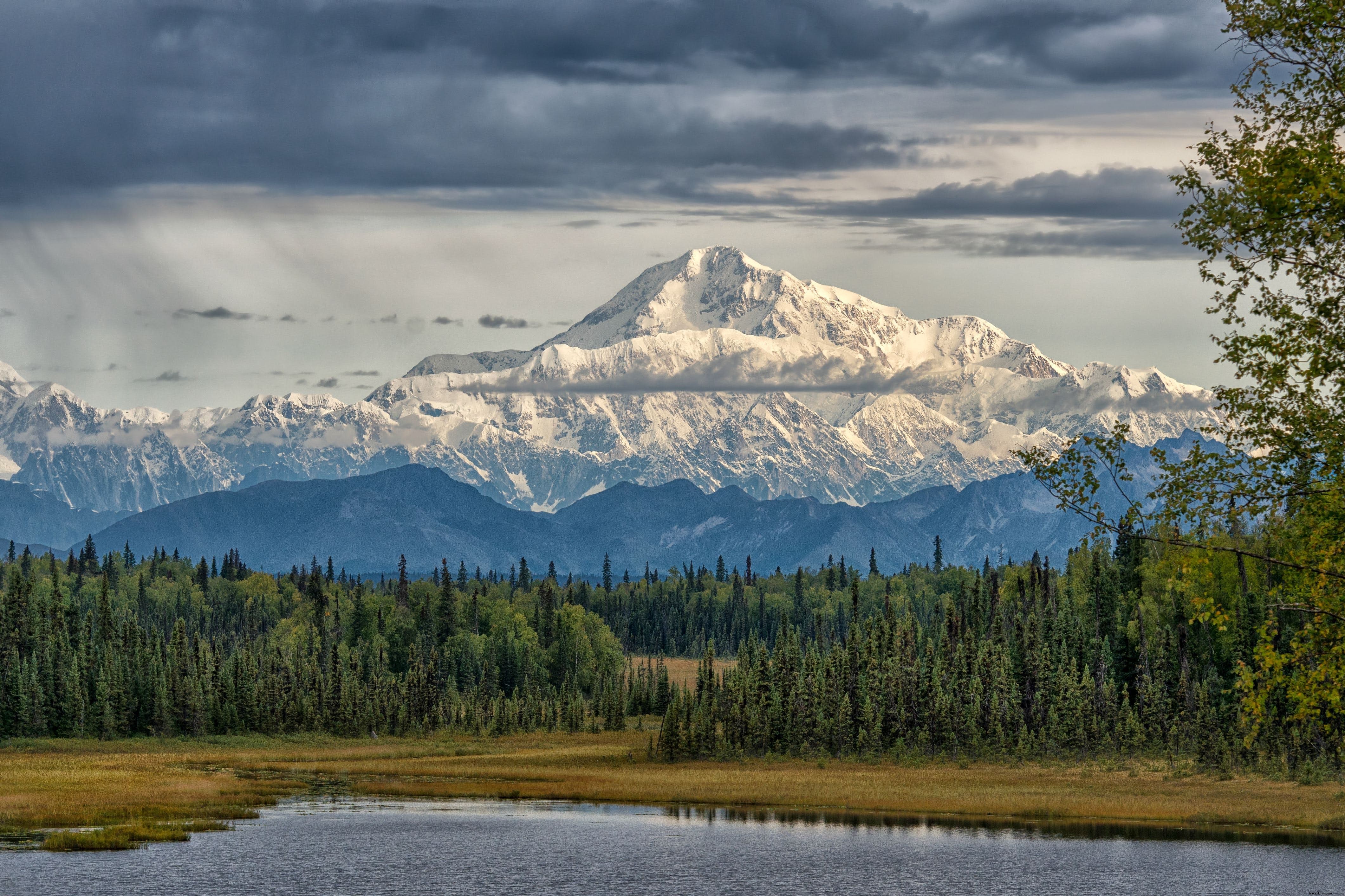 Denali National Park & Preserve: Ultimate Guide to Wildlife, Hiking, Lodging & Must-See Attractions