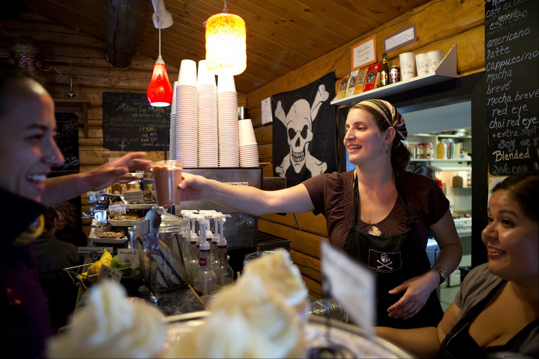 Denali National Park & Preserve: Ultimate Guide to Wildlife, Hiking, Lodging & Must-See Attractions