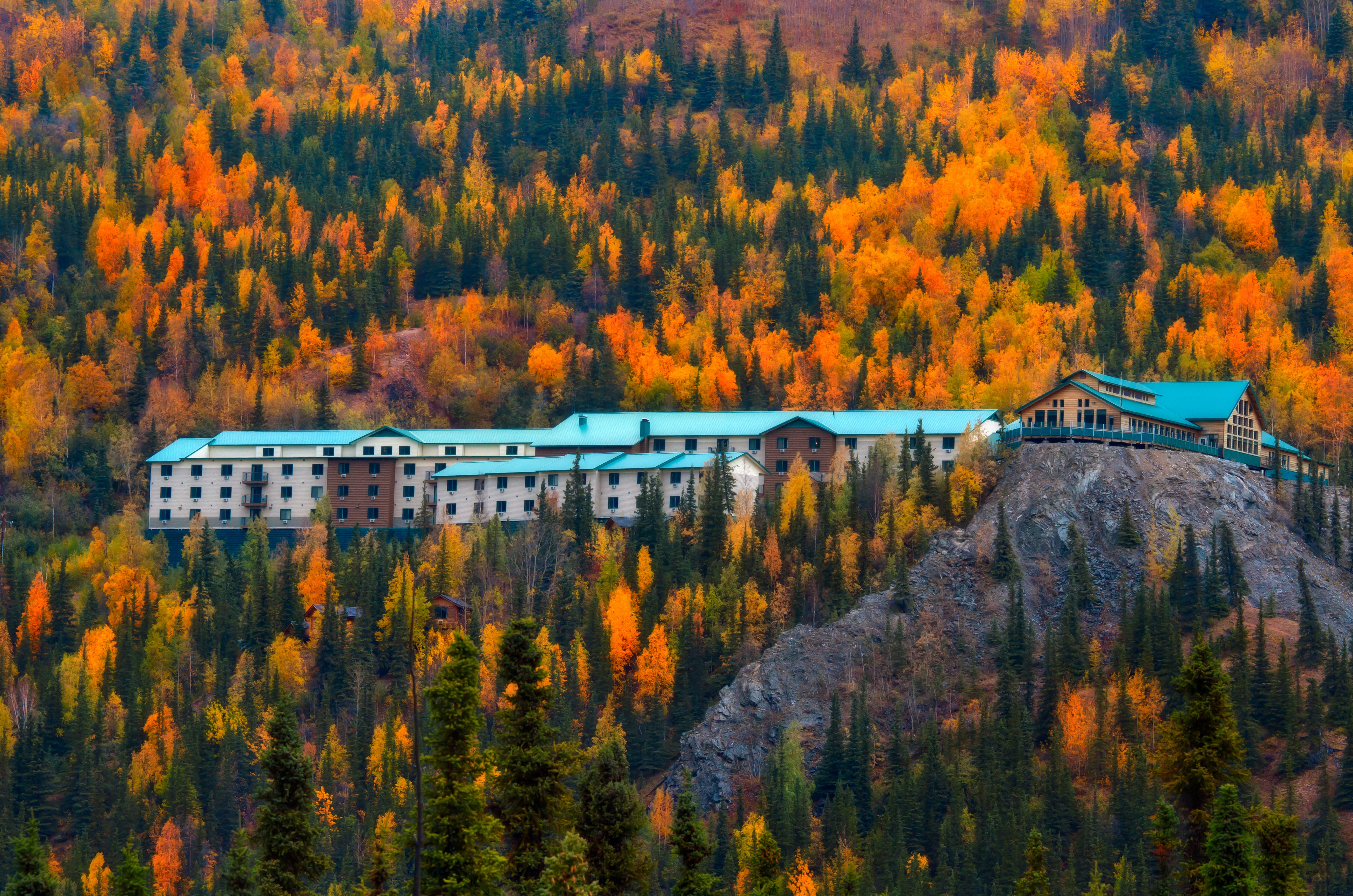 Denali National Park & Preserve: Ultimate Guide to Wildlife, Hiking, Lodging & Must-See Attractions