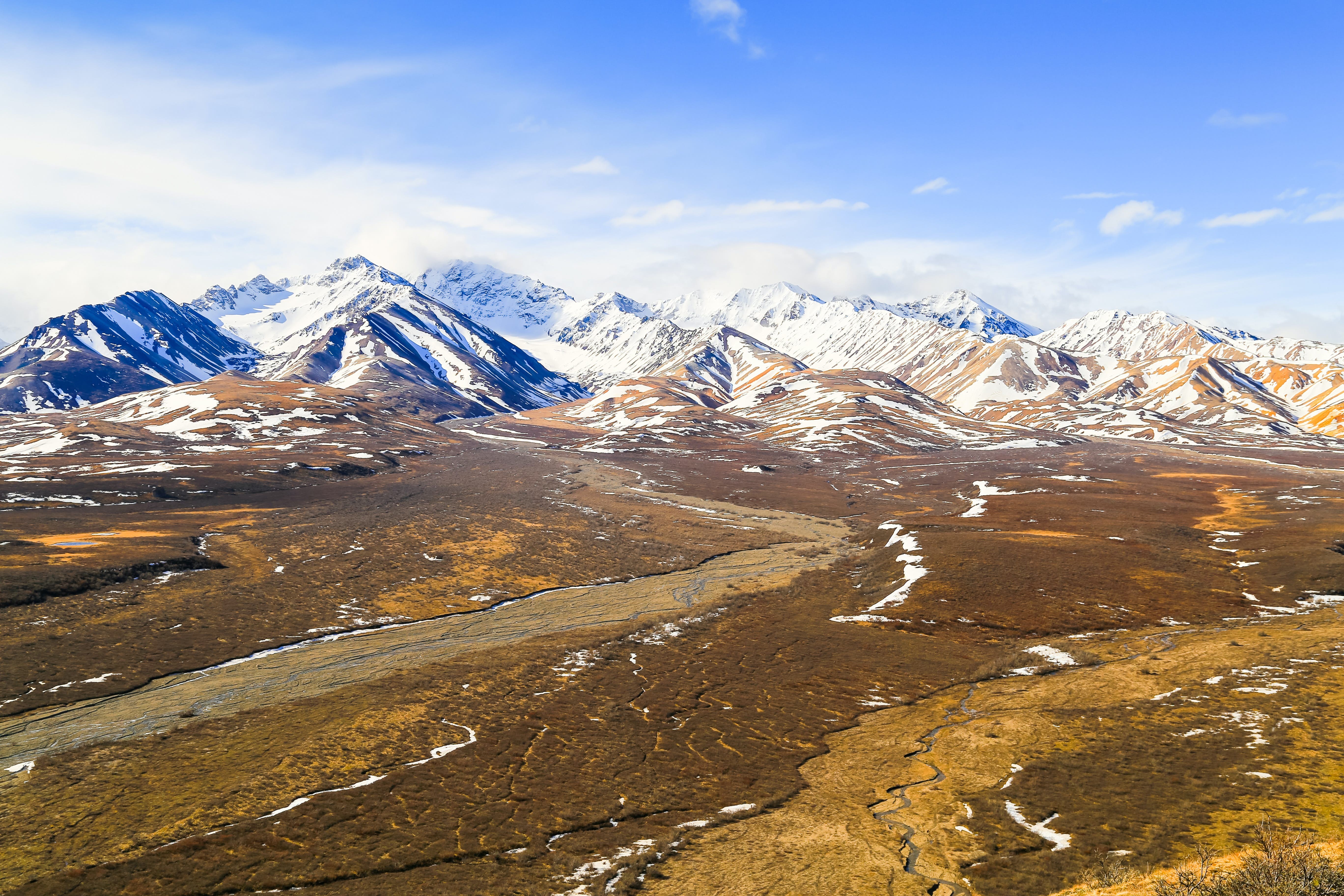 Denali National Park & Preserve: Ultimate Guide to Wildlife, Hiking, Lodging & Must-See Attractions