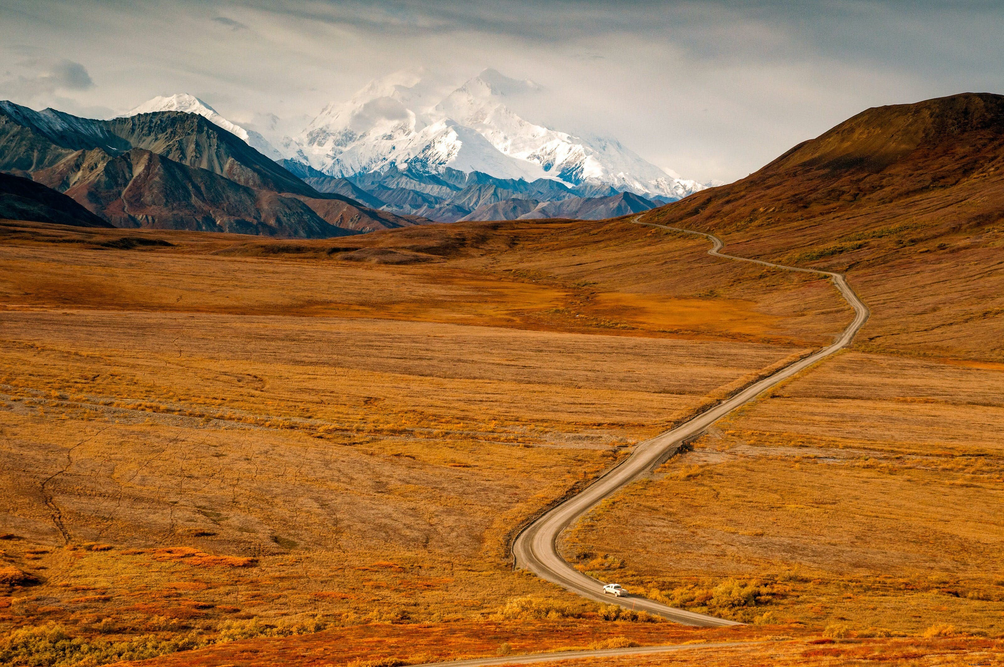Denali National Park & Preserve: Ultimate Guide to Wildlife, Hiking, Lodging & Must-See Attractions