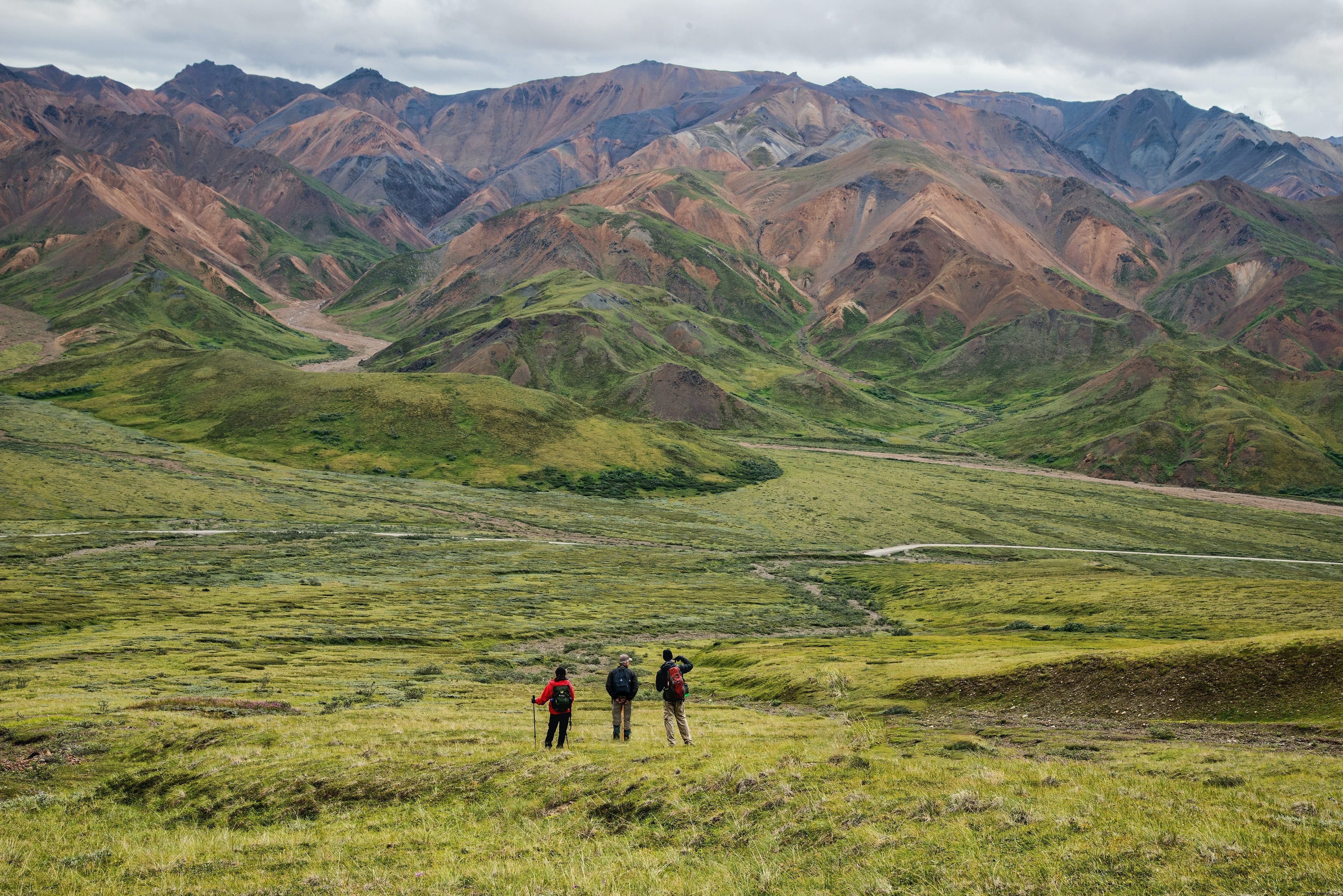 Denali National Park & Preserve: Ultimate Guide to Wildlife, Hiking, Lodging & Must-See Attractions