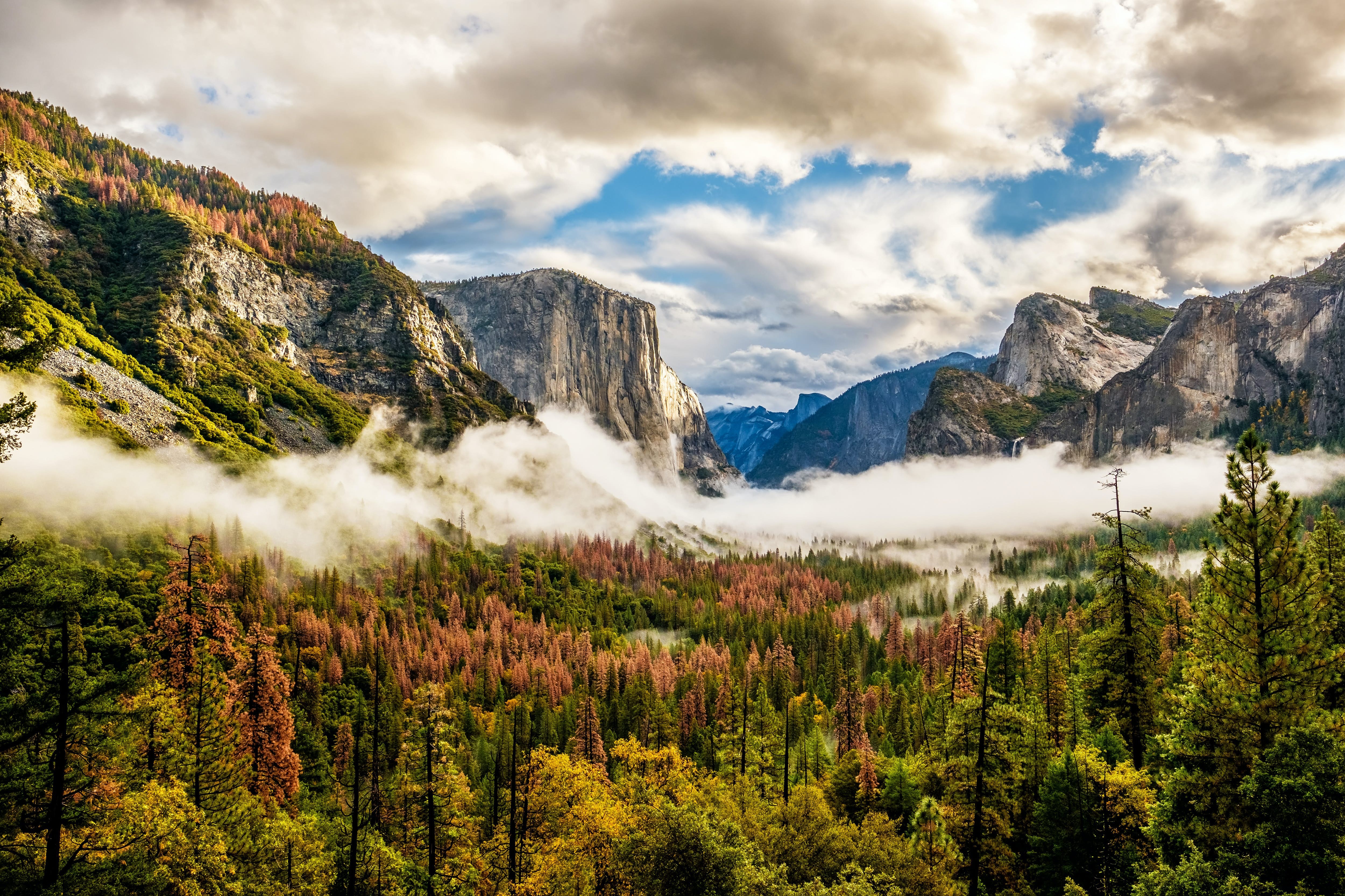 Yosemite National Park: Iconic Landmarks, Epic Activities, and Timeless History