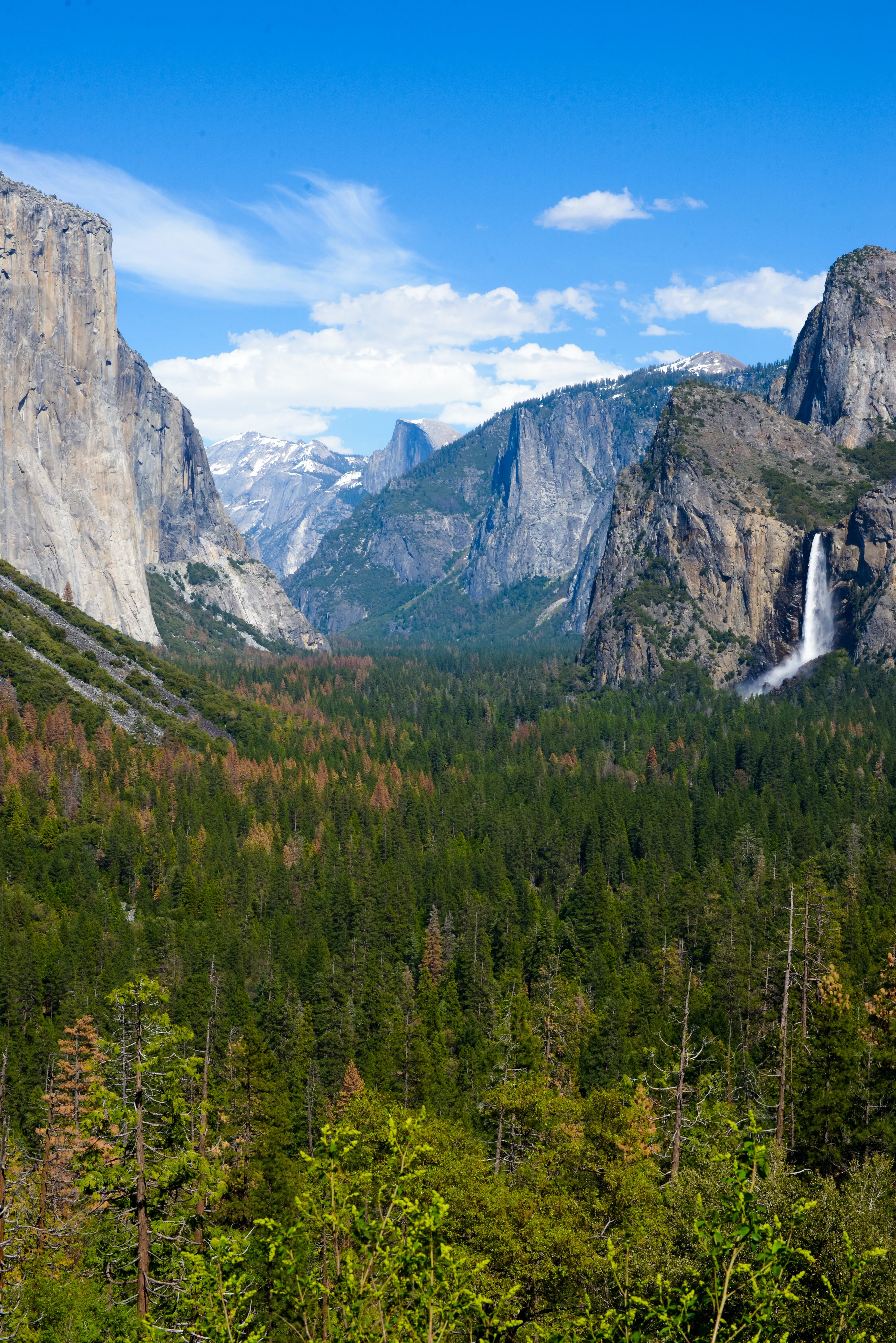 Yosemite National Park: Iconic Landmarks, Epic Activities, and Timeless History