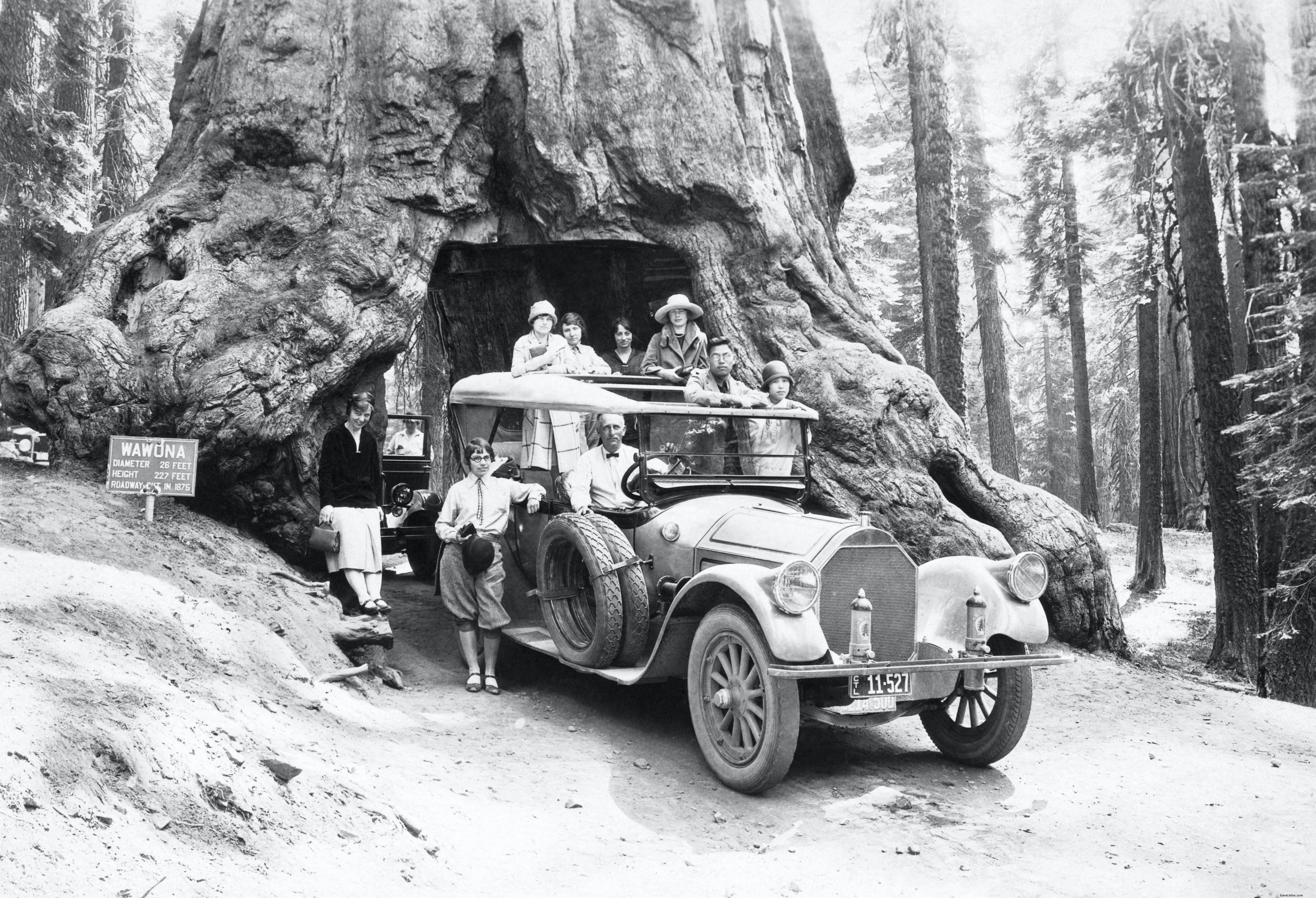 Yosemite National Park: Iconic Landmarks, Epic Activities, and Timeless History