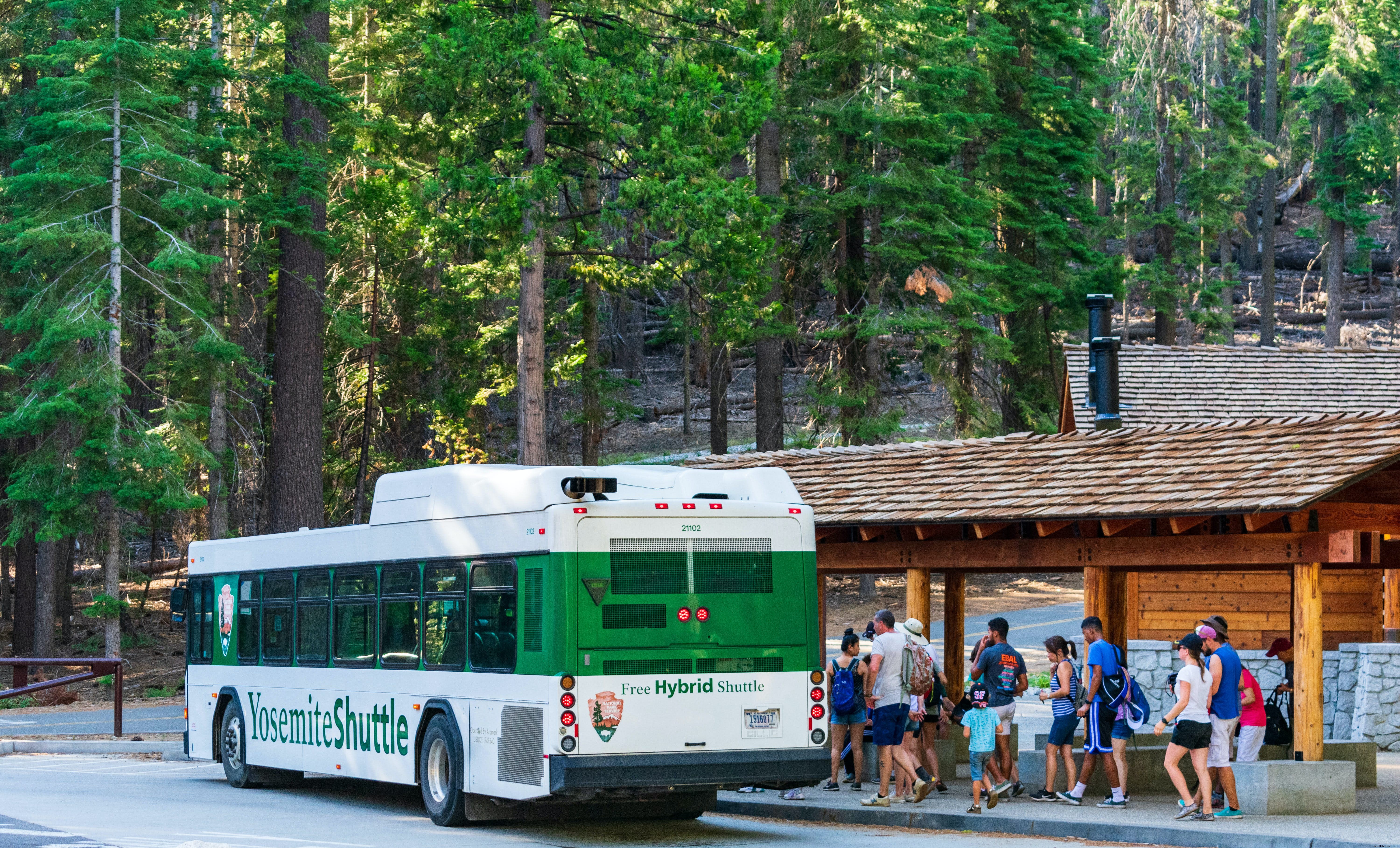 Yosemite National Park: Iconic Landmarks, Epic Activities, and Timeless History